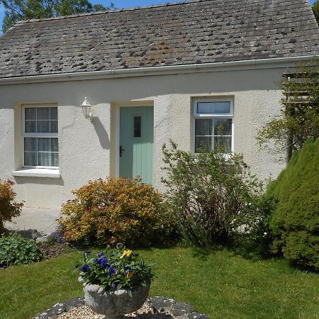 Glascoed Farmhouse Carmarthen Zewnętrze zdjęcie